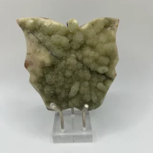 Small Green Druzy Stone- Butterfly 2063